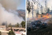 مستجدات الحرائق الغابوية بالأقاليم الشمالية缩略图