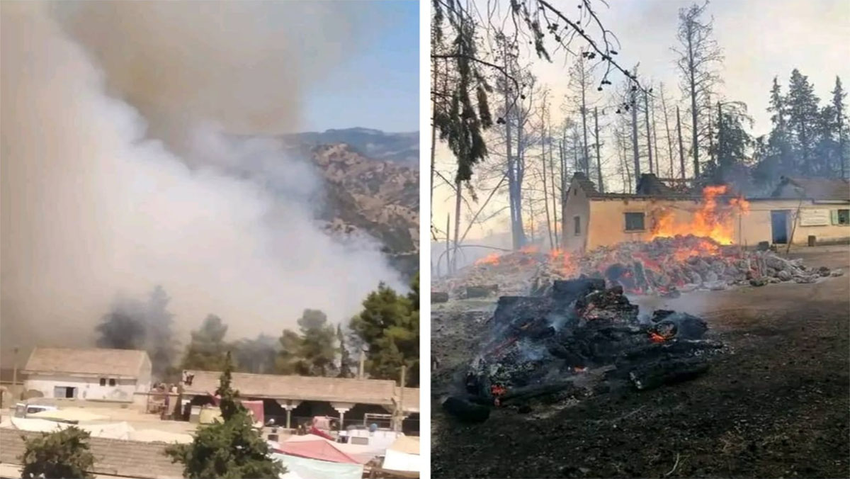 مستجدات الحرائق الغابوية بالأقاليم الشمالية缩略图