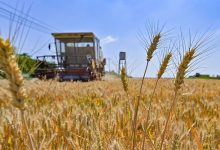 الحبوب الأوكرانية لم تذهب إلى إفريقيا بل إلى البلدان المتقدمة缩略图