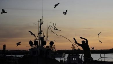 العيون : توقيف مجموعة من بواخر الصيد السردين الساحيلي لعدم احترامها مقتضيات فترة التوالد القانونية缩略图