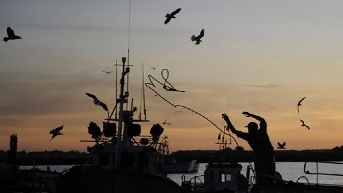 العيون : توقيف مجموعة من  بواخر الصيد السردين الساحيلي لعدم احترامها مقتضيات فترة التوالد القانونية缩略图