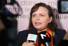 حيار على حافة الجسر缩略图