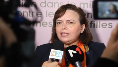 حيار على حافة الجسر缩略图