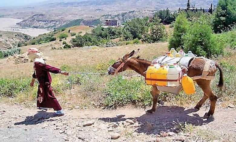 شبح العطش يقض مضجع ساكنة مناطق عديدة بالمغرب缩略图 شبح العطش يقض مضجع ساكنة مناطق عديدة بالمغرب缩略图