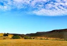 إيقاف مهاجر سوداني قادم من الجزائر محملا بذخيرة حربية.缩略图