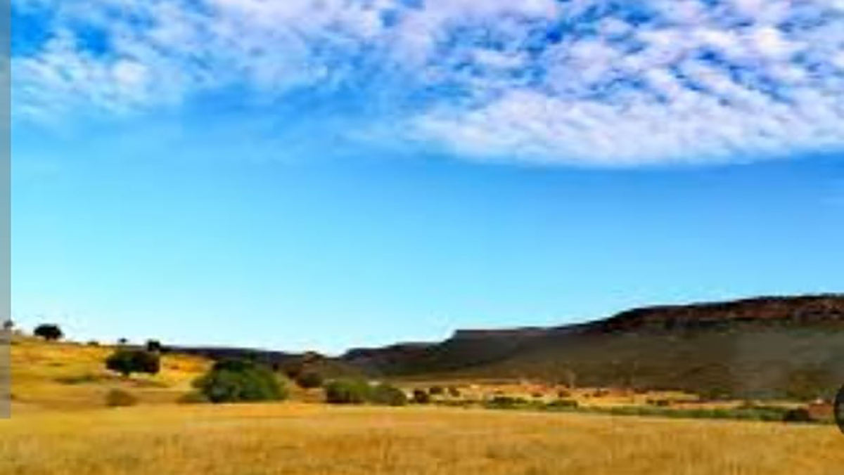 إيقاف مهاجر سوداني قادم من الجزائر محملا بذخيرة حربية.缩略图