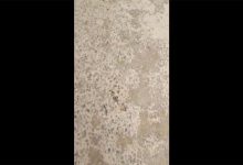 آخر خطوات ضحية الحريق الحي الجامعي بوجدة￼缩略图