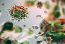 علماء أمريكيون يخلقون سلالة جديدة “فتاكة” من فيروس كورونا في المختبر قاتلة بنسبة 80%缩略图