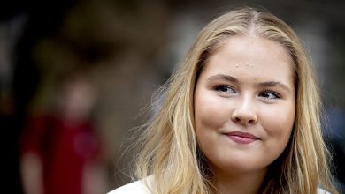 الطاقي متهم بتهديد حياة ولية عهد هولندا…缩略图 الطاقي متهم بتهديد حياة ولية عهد هولندا…缩略图