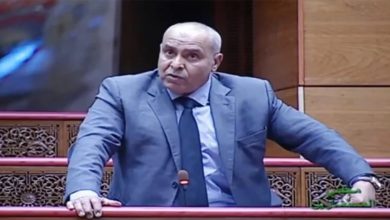 تقرير: أسرة كاملة (وقطتهم) في البرلمان المغربي… الصحافة الامريكية تنشر وتسحب缩略图