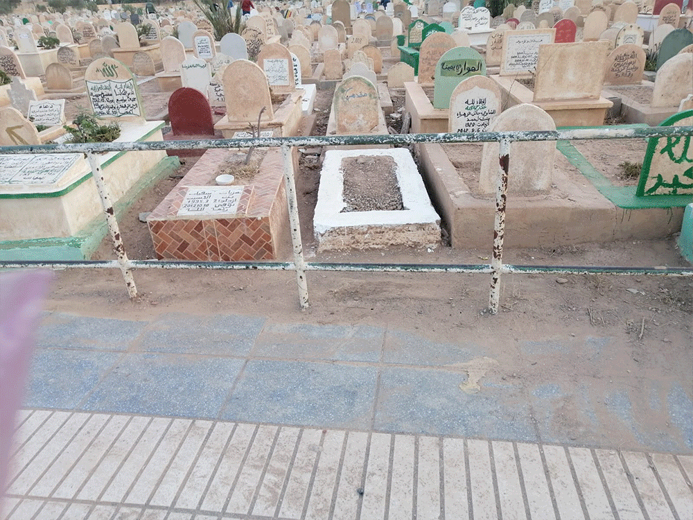 جمعية واد الناشف سيدي معافة تنظف مقبرة الشهداء插图