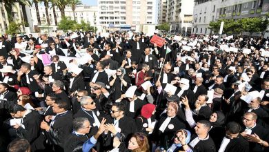 ائتلاف لهيئات حقوق الإنسان يراسل أخنوش بشأن “الضريبة” و “قانون المحاماة”缩略图