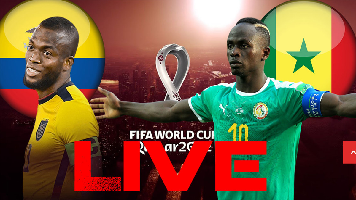 مقتبلات كأس العالم المباشرة الآن : السينغال/الاكوادور و قطر/البايز缩略图