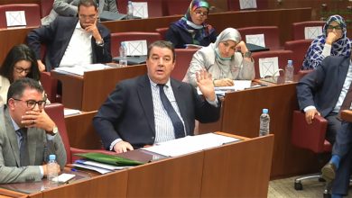 الفريق الحركي يرد على الناطق الرسمي باسم الحكومة缩略图 الفريق الحركي يرد على الناطق الرسمي باسم الحكومة缩略图