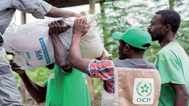 خمسة آلاف طن من الأسمدة هبة من المغرب لموريتانيا缩略图