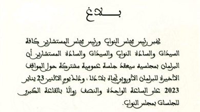 ردا على إبتزازات البرلمان الأوروبي:缩略图