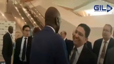 ناصر بوريطة يصل الى الجزائر缩略图 ناصر بوريطة يصل الى الجزائر缩略图