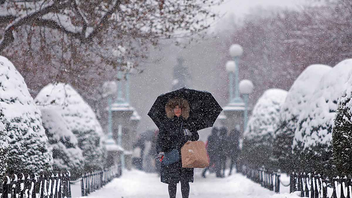 موجة قطبية تاريخية تضرب الولايات المتحدة وكندا缩略图