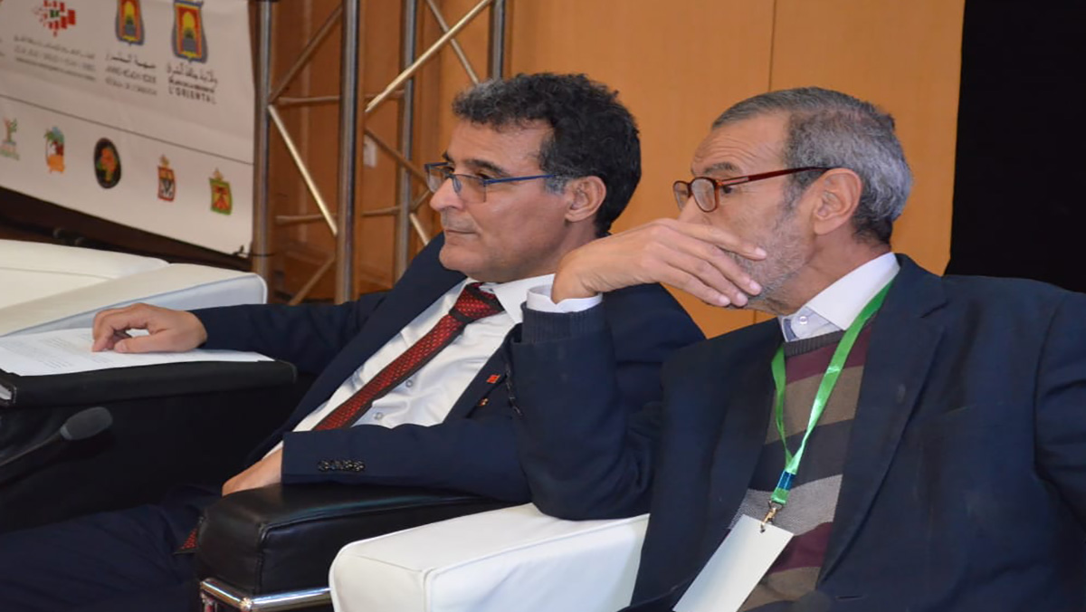 عبدالعالي الجابري: فرنسا مجمدة لسنوات قادمة缩略图