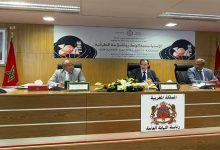 الداكي: مواجهة آفة حوادث السير من أولويات السياسة الجنائية التي تشرف عليها رئاسة النيابة العامة缩略图