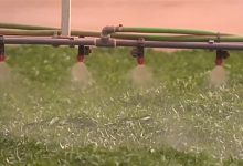 قرار حكومي لا معنى له缩略图