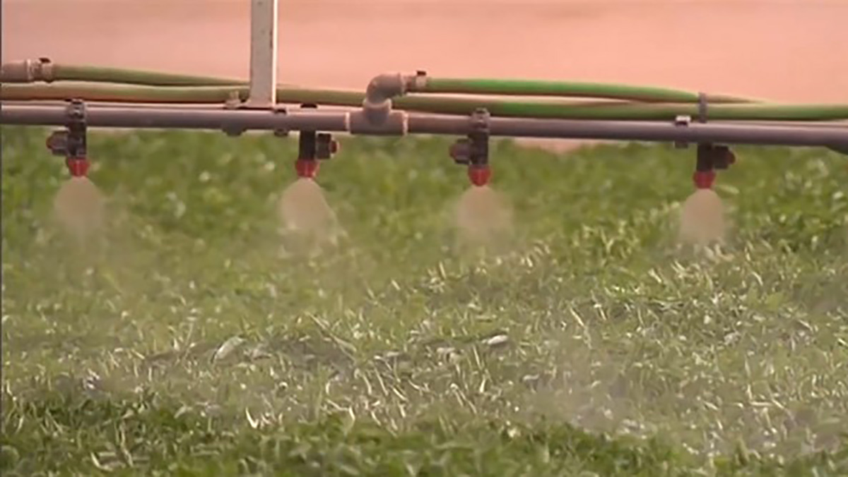 قرار حكومي لا معنى له缩略图