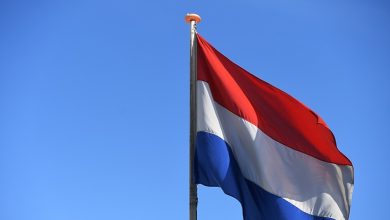 صحيفة: اختفاء أكثر من 300 طفل من مراكز المهاجرين في هولندا منذ عام 2022缩略图