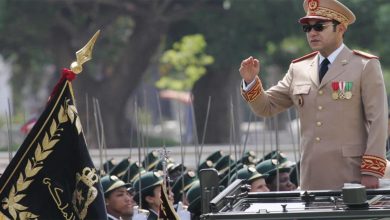 الملك يوجه الأمر اليومي للقوات المسلحة الملكية بمناسبة الذكرى ال 67 لتأسيسها缩略图