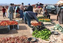 وزارة الداخلية تُعد برنامجا وطنيا لتأهيل الأسواق الأسبوعية缩略图