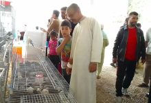 GIL24-TV مشاركة أولى لتعاونية الفلاحية الزين بنعمان في المعرض الجهوي للإقتصاد الإجتماعي و التضامني بوجدة .缩略图