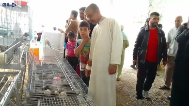 GIL24-TV مشاركة أولى لتعاونية الفلاحية الزين بنعمان في المعرض الجهوي للإقتصاد الإجتماعي و التضامني بوجدة .缩略图 GIL24-TV مشاركة أولى لتعاونية الفلاحية الزين بنعمان في المعرض الجهوي للإقتصاد الإجتماعي و التضامني بوجدة .缩略图