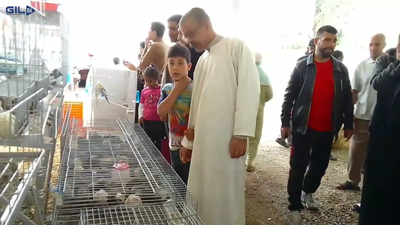 GIL24-TV مشاركة أولى لتعاونية الفلاحية الزين بنعمان في المعرض الجهوي للإقتصاد الإجتماعي و التضامني بوجدة .缩略图