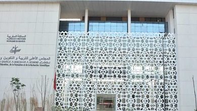 المالكي يدعو إلى دمج الذكاء الاصطناعي في التعليم و التعلم缩略图