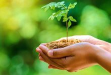 بنعلي تدعو إلى وضع مؤشرات جديدة لقياس التطور نحو تنمية مستدامة شاملة缩略图