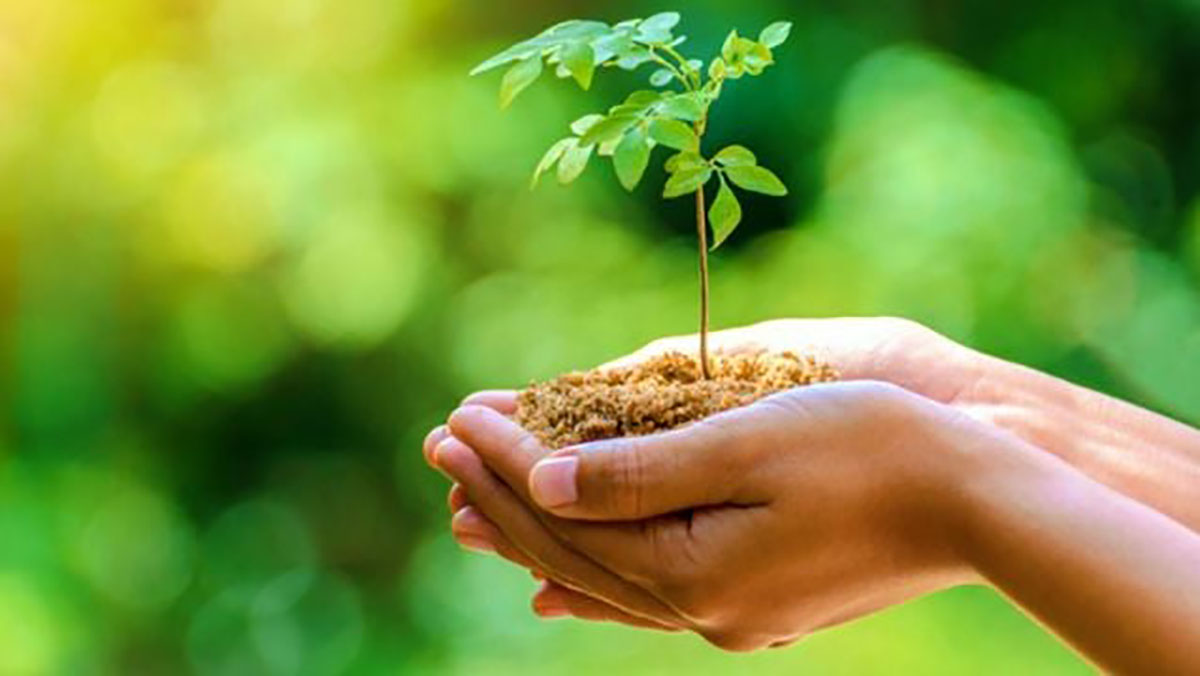 بنعلي تدعو إلى وضع مؤشرات جديدة لقياس التطور نحو تنمية مستدامة شاملة缩略图