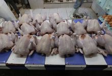 عيد الأضحى يُخفض أسعار الدجاج缩略图