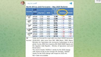 توقعات اقتصادية : الجفاف سيؤدي الى ارتفاع الاسعار بنسبة من 14 الى 30 %缩略图 توقعات اقتصادية : الجفاف سيؤدي الى ارتفاع الاسعار بنسبة من 14 الى 30 %缩略图
