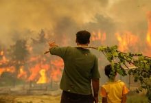 رئيس القبايل يتهم الجيش الجزائري بإضرام الحرائق لإبادة شعبه缩略图