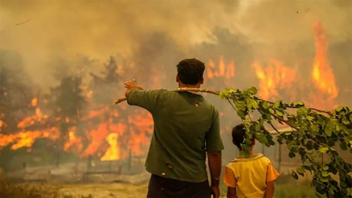 رئيس القبايل يتهم الجيش الجزائري بإضرام الحرائق لإبادة شعبه缩略图