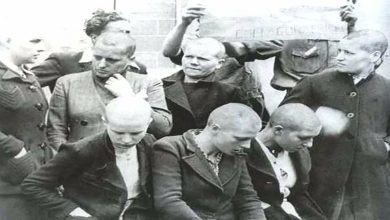 الكافيار النازي.. نساء فرنسيات ونرويجيات ارتمين في أحضان جنود هتلر “فحق عليهن الحد”缩略图