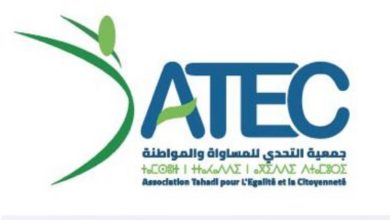 جمعية التحدي للمساواة والمواطنة تندد بحملة التنمر ضد المنتخب المغربي النسوي.缩略图