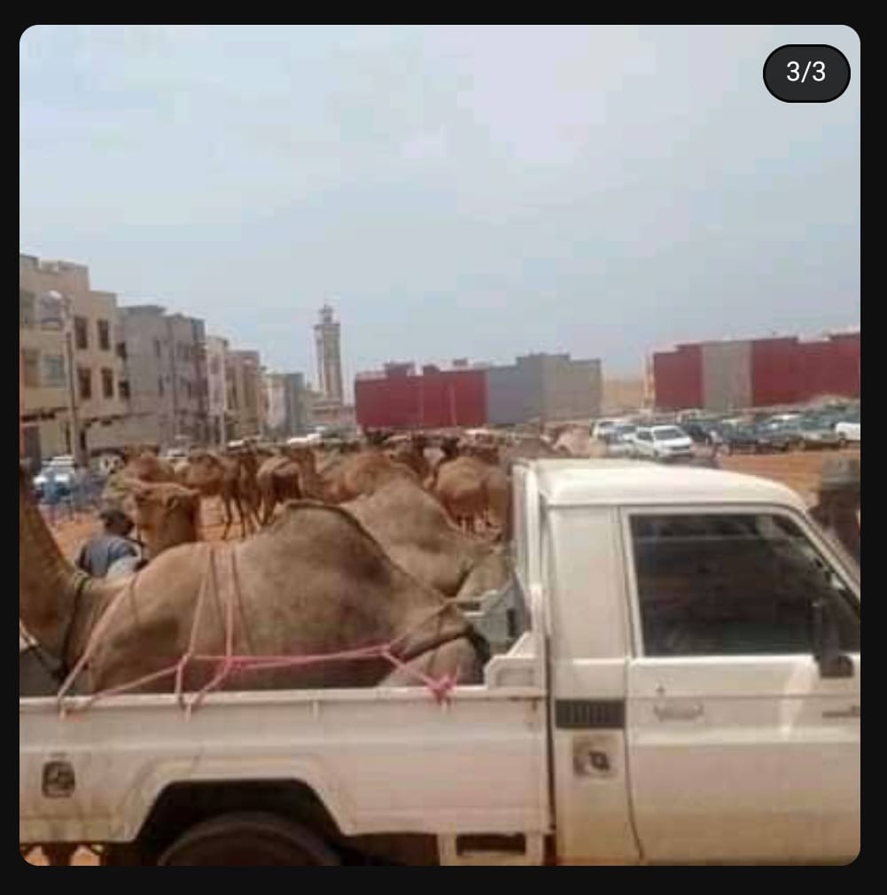 بايتاس.. من معلم بسيط إلى وزير يتباهى بالبذخ插图1