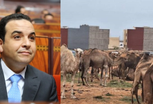 بايتاس.. من معلم بسيط إلى وزير يتباهى بالبذخ缩略图