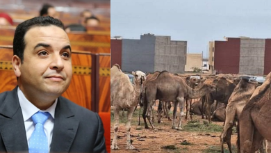 بايتاس.. من معلم بسيط إلى وزير يتباهى بالبذخ缩略图