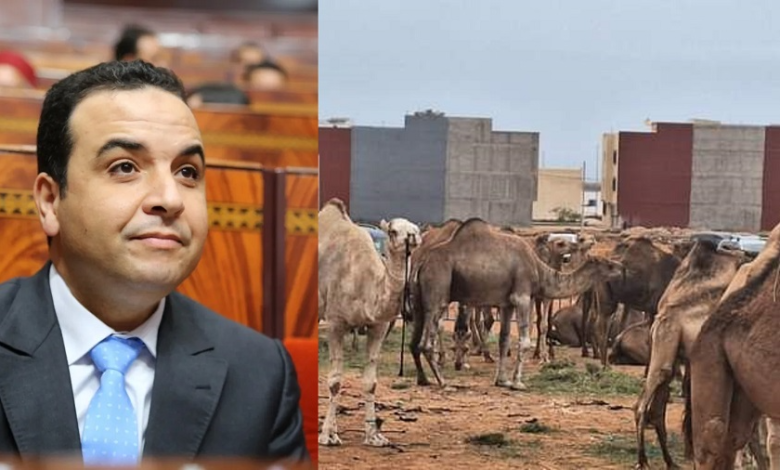 بايتاس.. من معلم بسيط إلى وزير يتباهى بالبذخ缩略图 بايتاس.. من معلم بسيط إلى وزير يتباهى بالبذخ缩略图