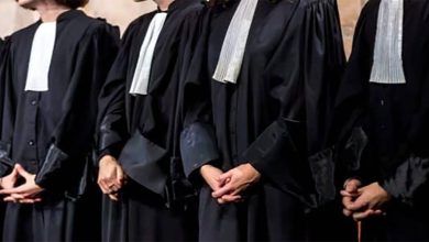 المحامون يقاطعون الجلسات بشكل شامل缩略图