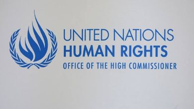 المفوضية السامية لحقوق الإنسان: ما ورد في رسالة مدير مكتب نيويورك هي آراء شخصية缩略图