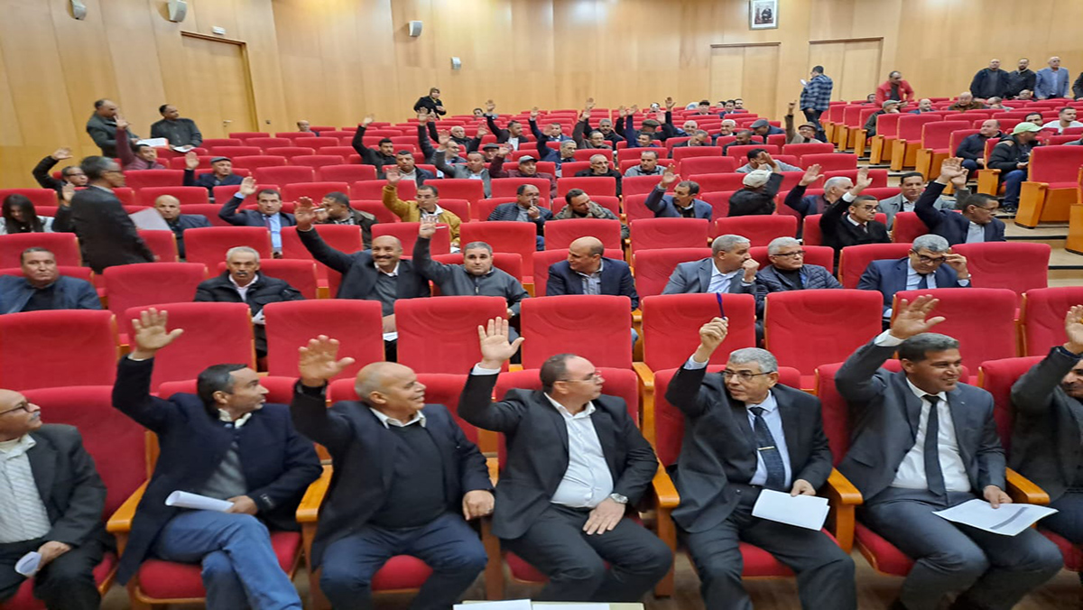 نتائج انتخابات مجموعة الجماعات “الشرق للتوزيع”، هل هي بداية انهيار حزب التجمع الوطني للاحرار بالجهة وبوجدة..缩略图