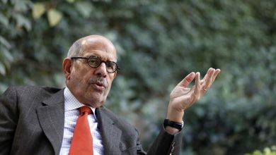 ميثاق الأمم المتحدة بين البرادعي وبلينكن وحق إسرائيل في الدفاع عن النفس缩略图