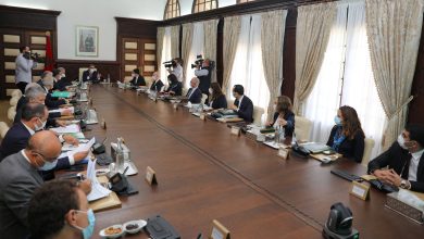 مصطفى الفن: كوبل حكومي جديد缩略图